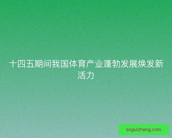 十四五期间我国体育产业蓬勃发展焕发新活力